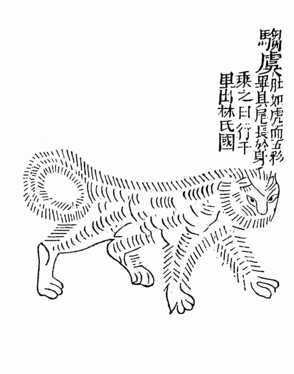 騶虞與豝.jpg