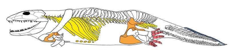 Pasted image 20251223171759.png