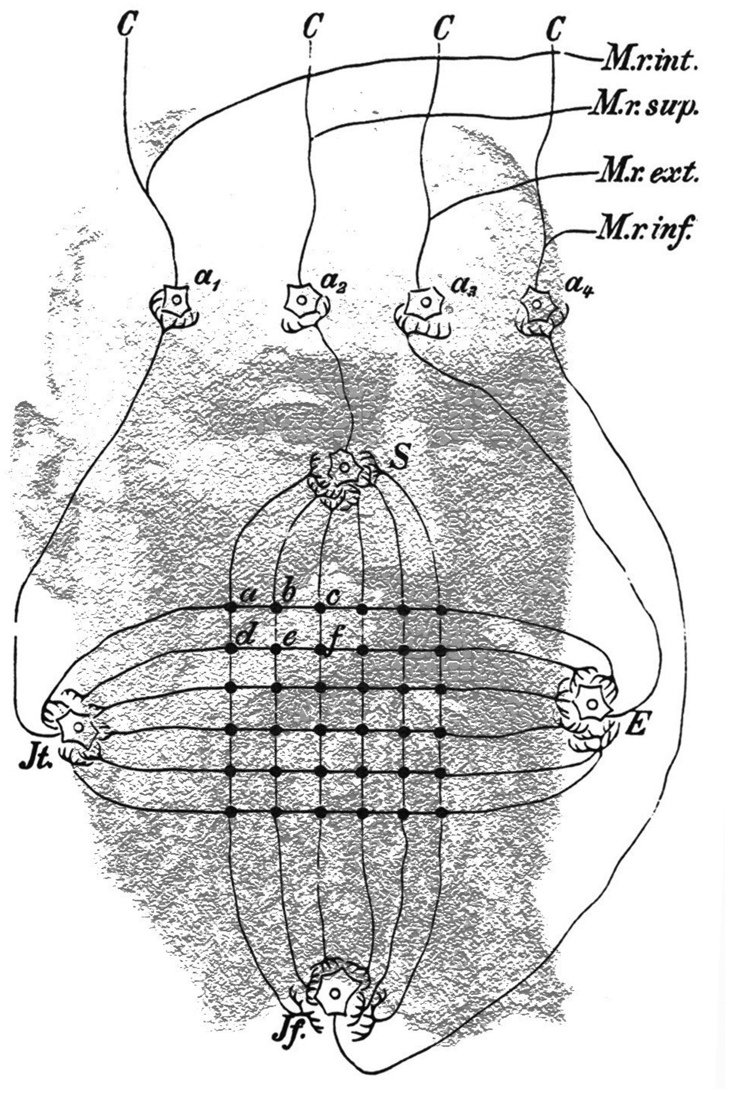 Pasted image 20260210213529.png