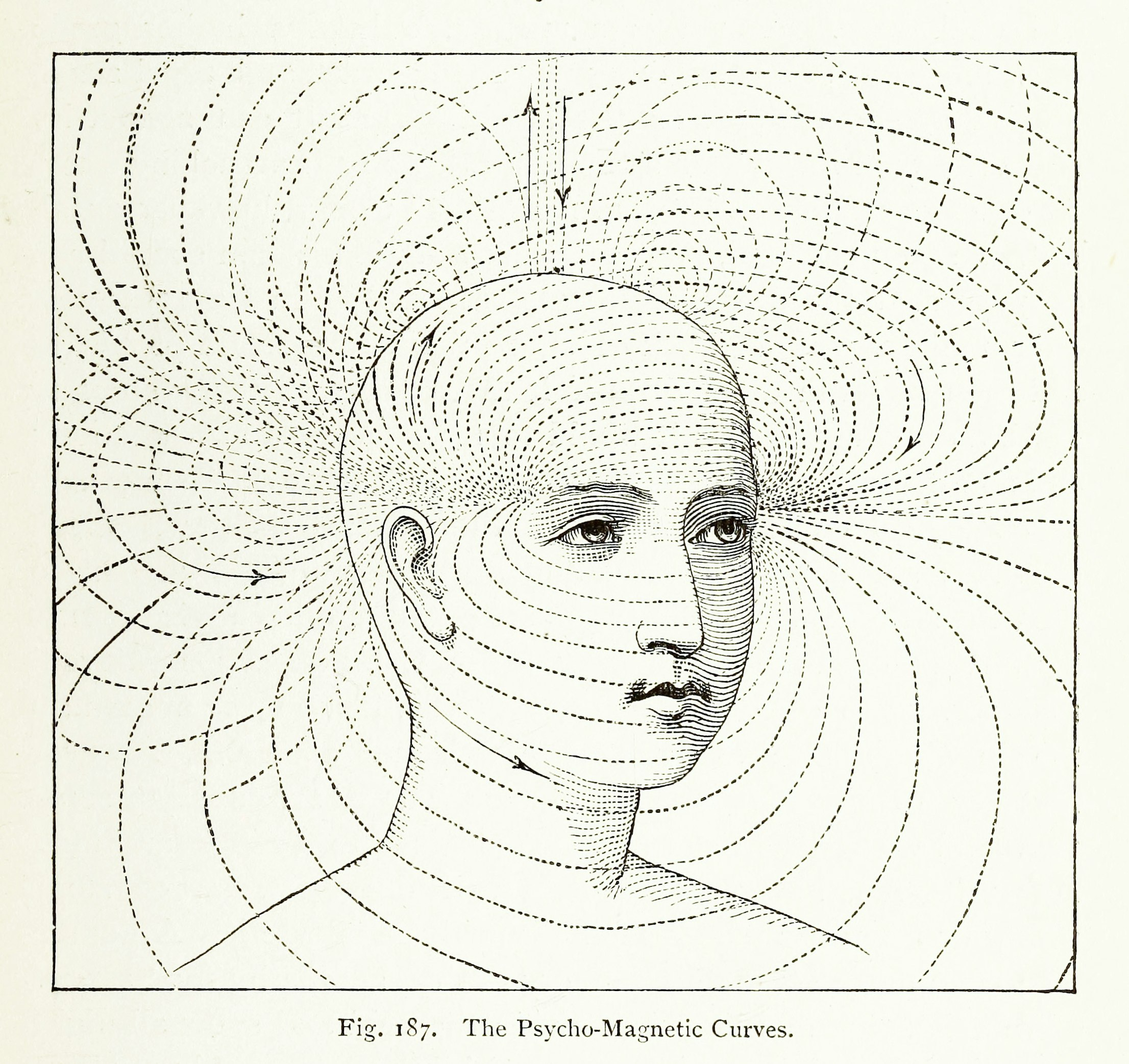 Pasted image 20260211021742.png