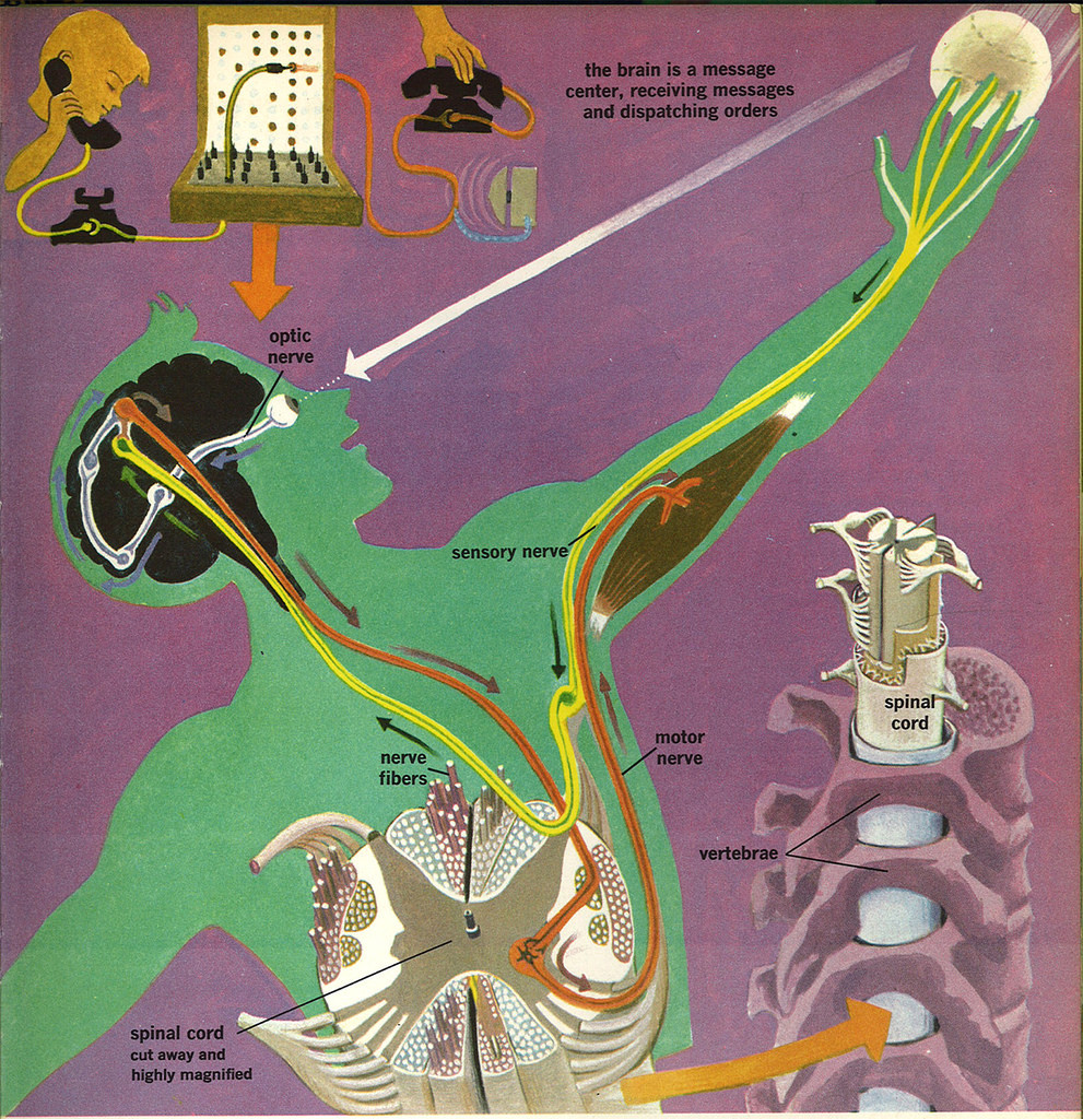 Pasted image 20260330144719.png